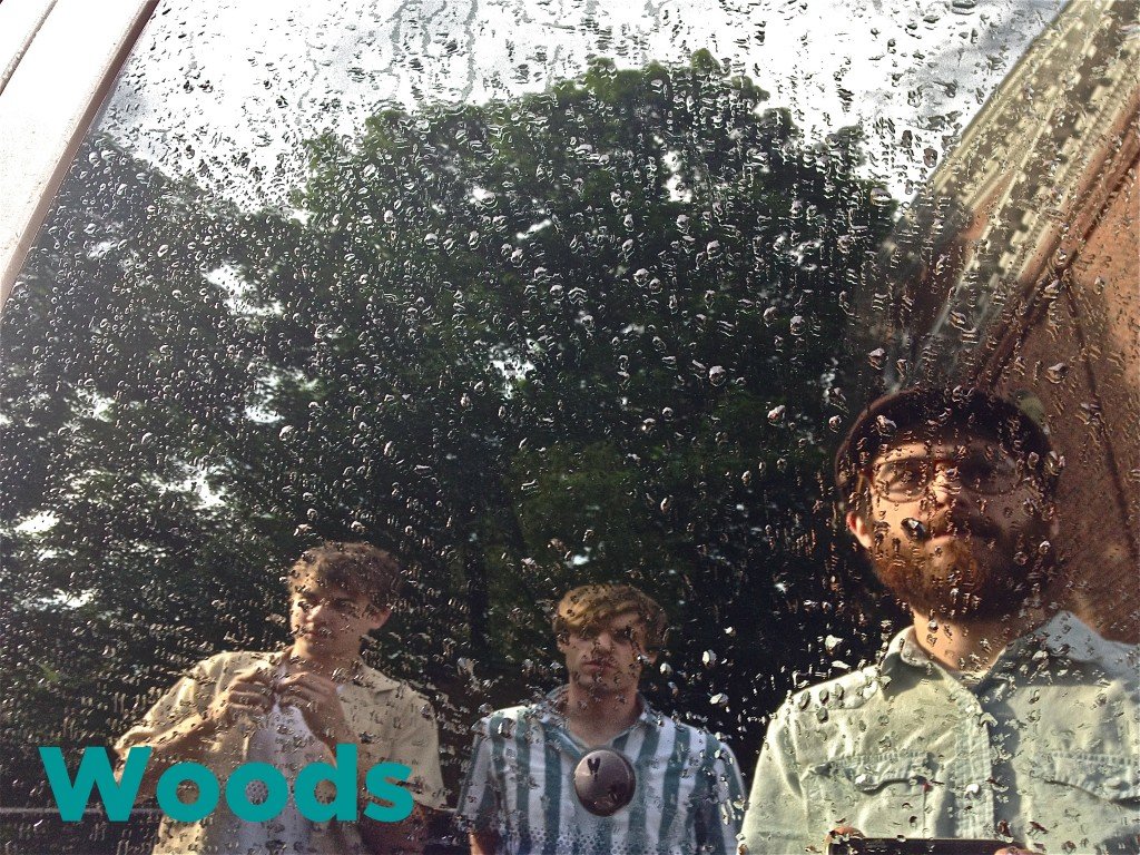 Woods 02