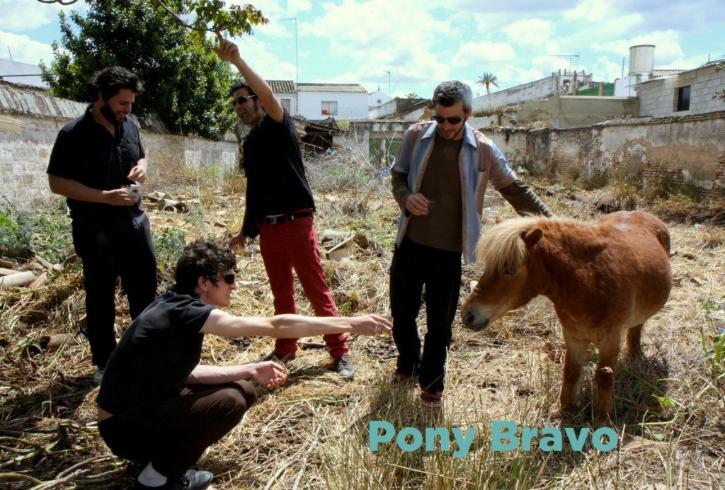 Pony Bravo