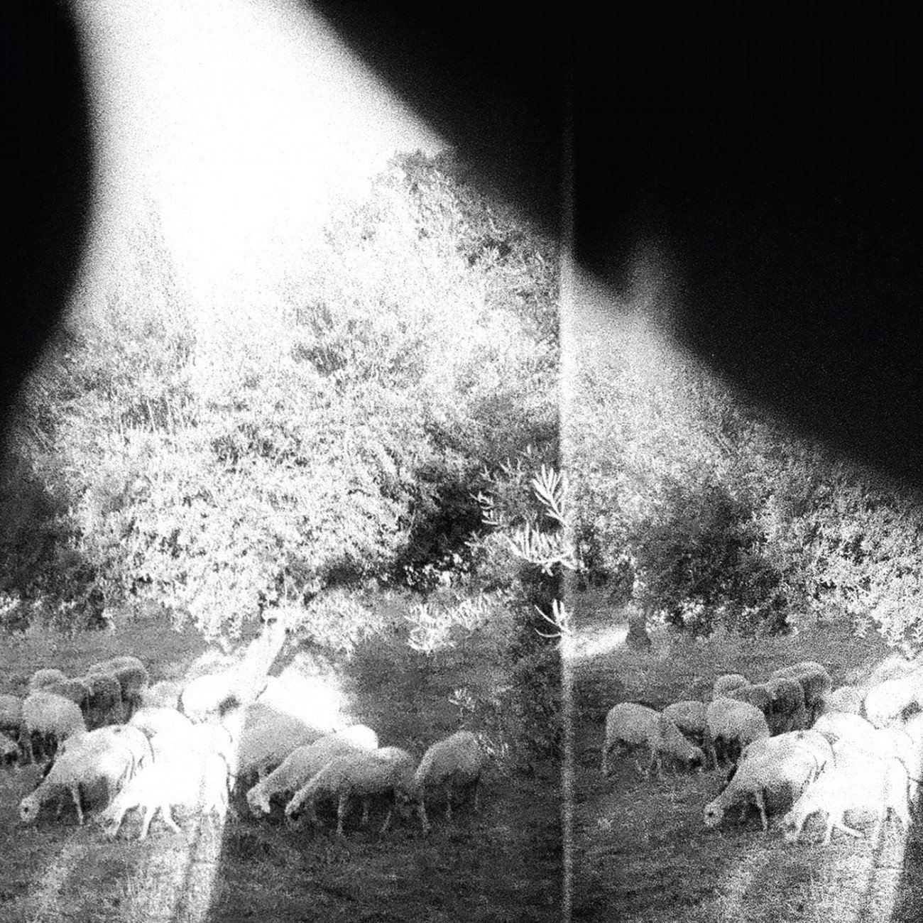 'Asunder, Sweet and Other Distress', el nuevo álbum de Godspeed You! Black Emperor.