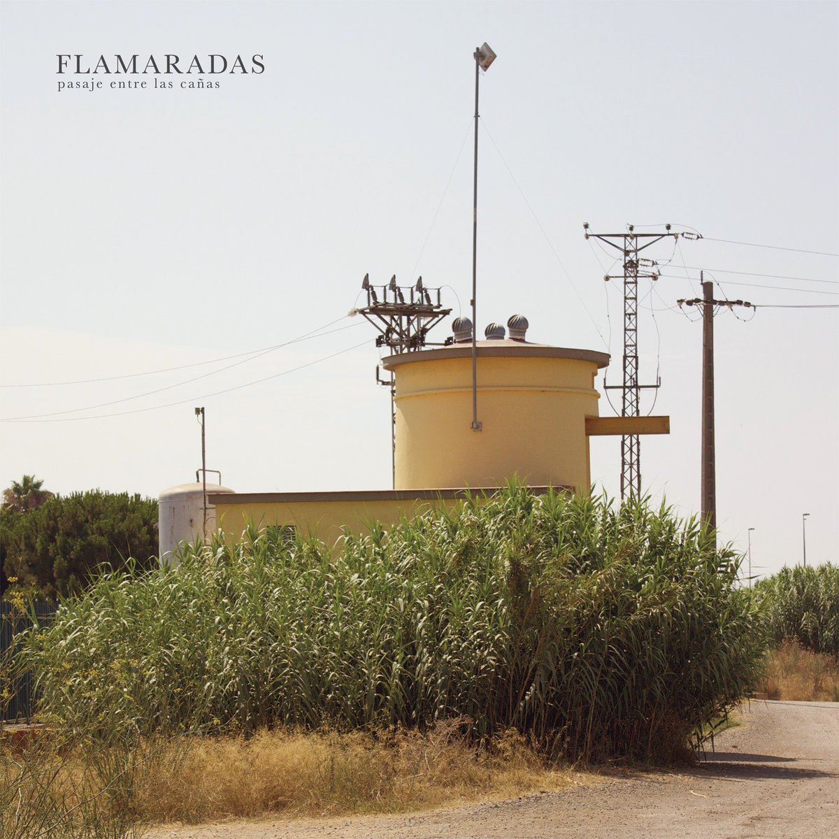 Reseñamos 'Pasaje entre las Cañas', la nueva entrega de Flamaradas