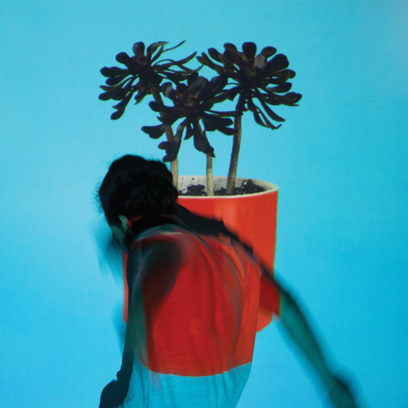 Reseñamos 'Sunlit Youth', el nuevo disco de Local Natives