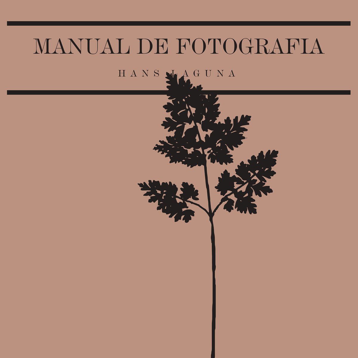Reseñamos 'Manual de Fotogrfía', el nuevo trabajo de Hans Laguna