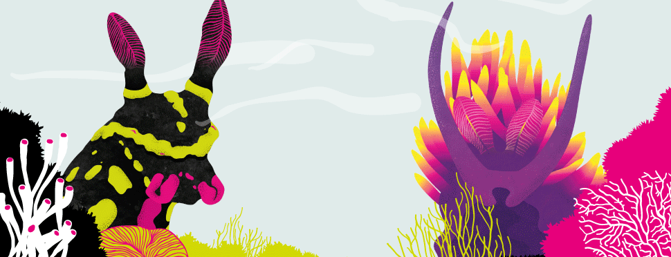 Hoja de ruta del Primavera Sound 2017