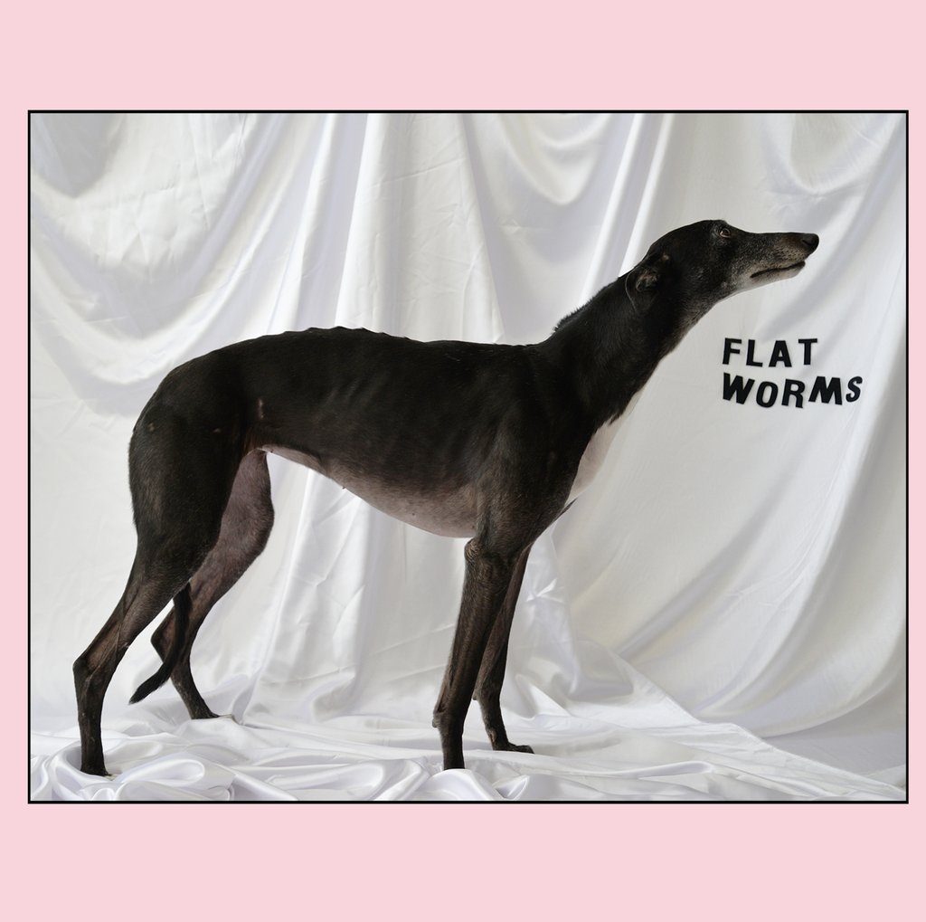 Reseñamos el LP debut de Flat Worms