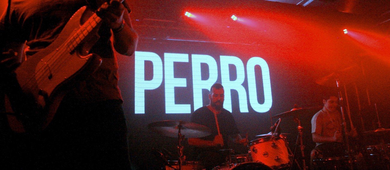 Crónica de Perro y Carolina Durante en Murcia