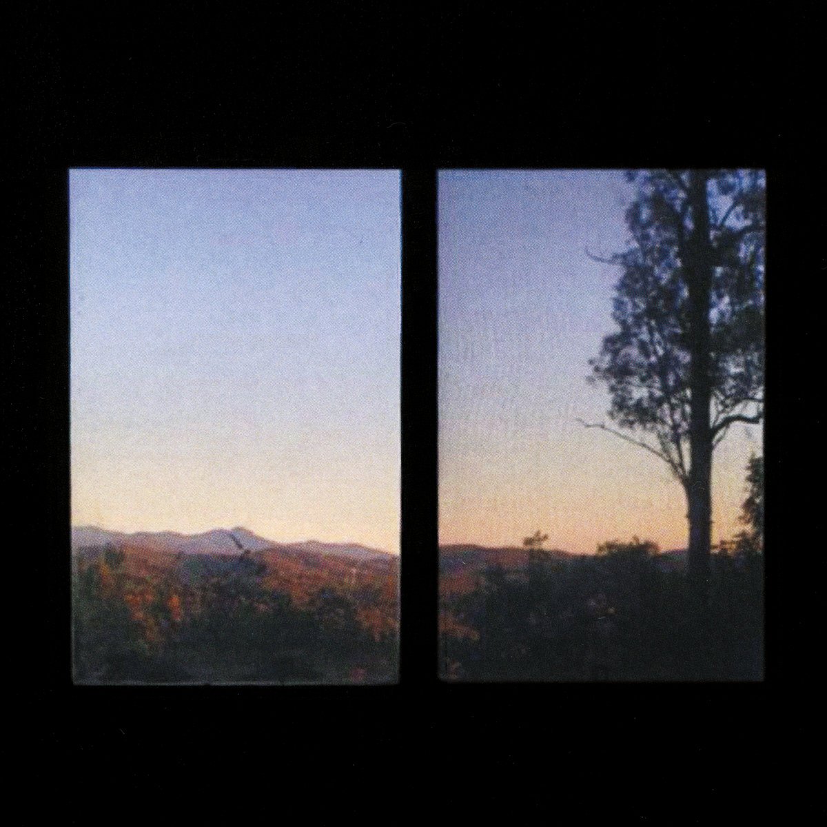 Reseñamos 'Longwave', el segundo trabajo de Bonny Doon