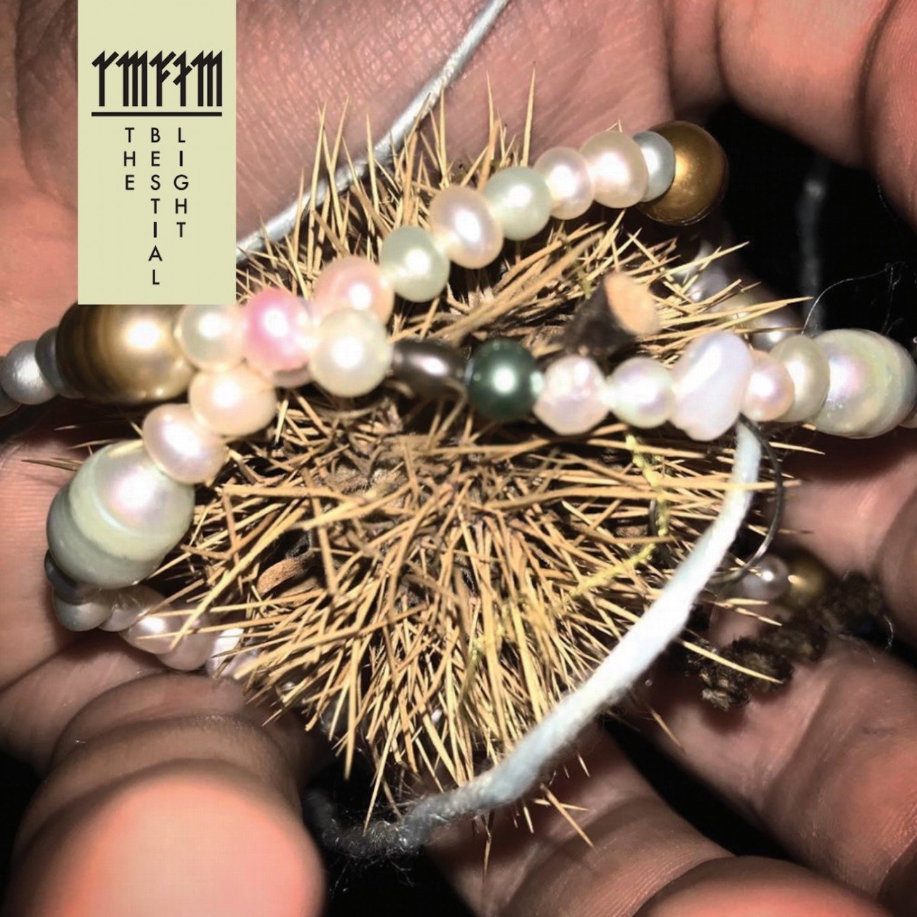 Reseñamos 'The Bestial Light', el nuevo trabajo de Radar Men From The Moon