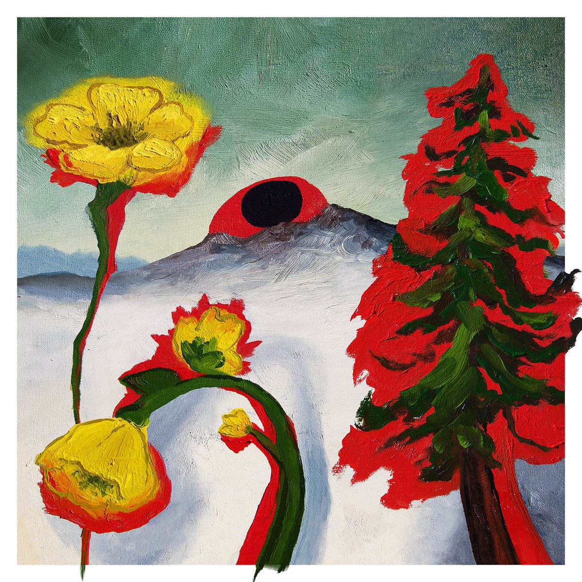 Reseñamos 'Strange to Explain', el nuevo disco de Woods