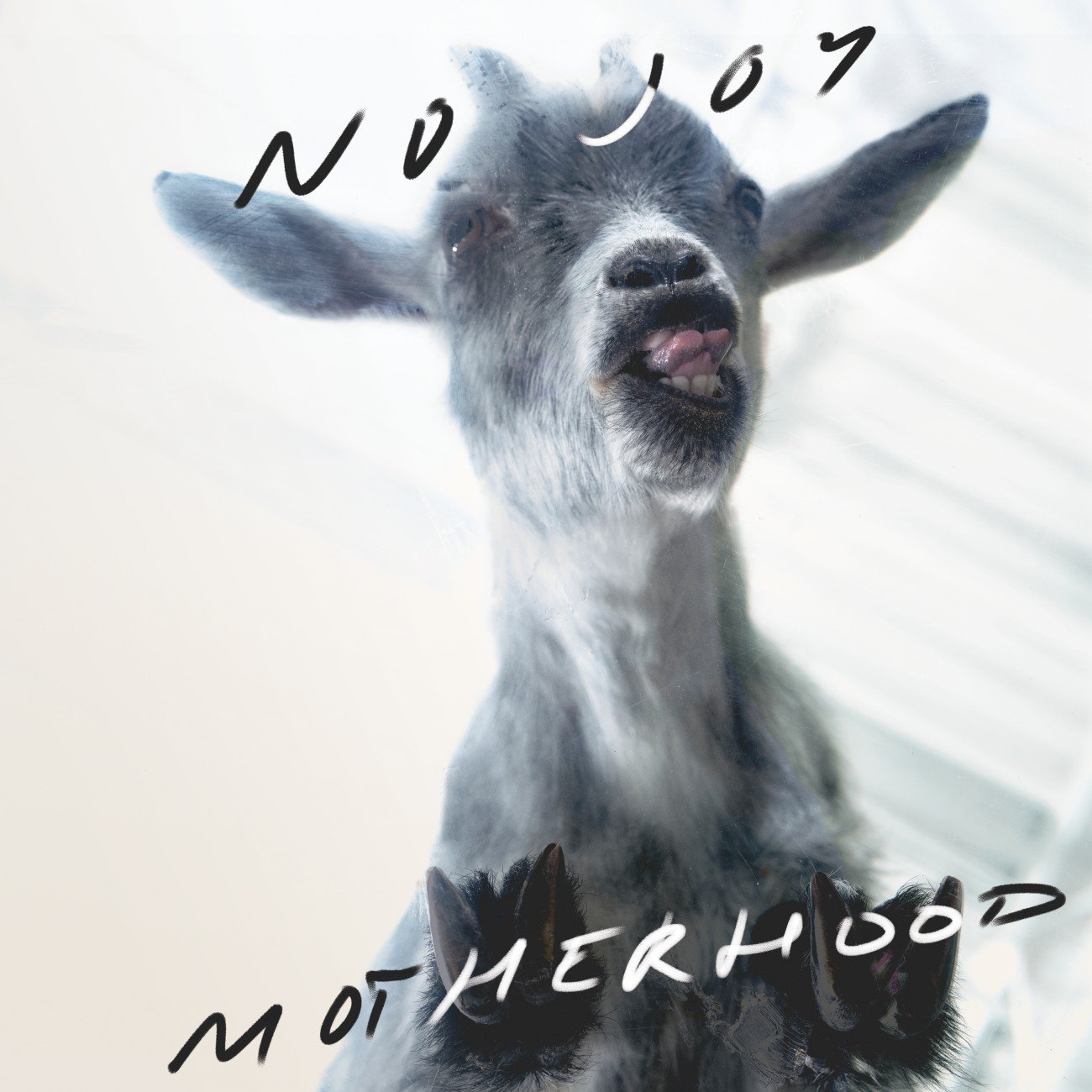 Reseñamos el nuevo trabajo de No Joy