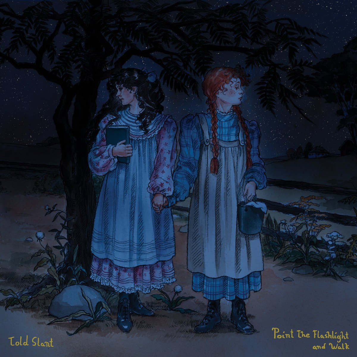 Reseñamos el tercer LP de Told Slant