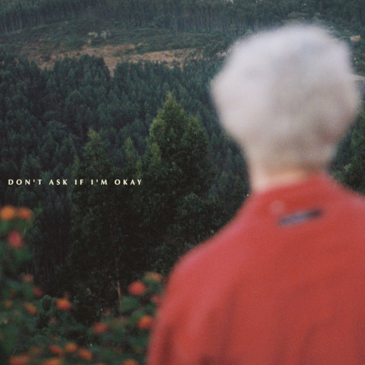 Reseñamos el LP debut de Calmness