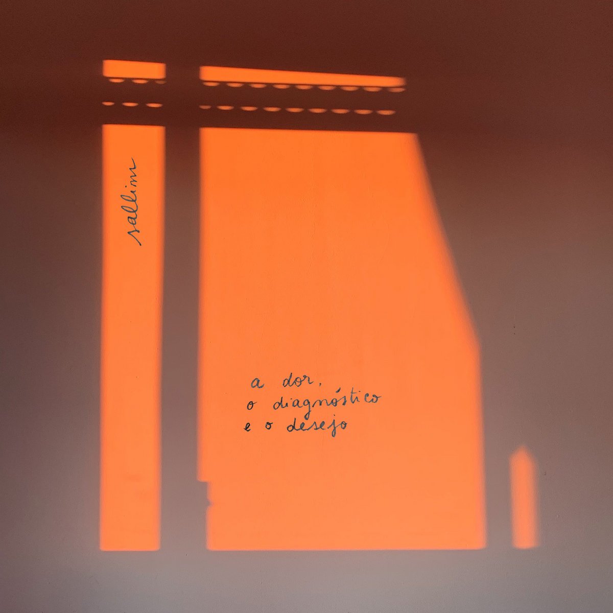 Reseñamos el nuevo disco de Sallim