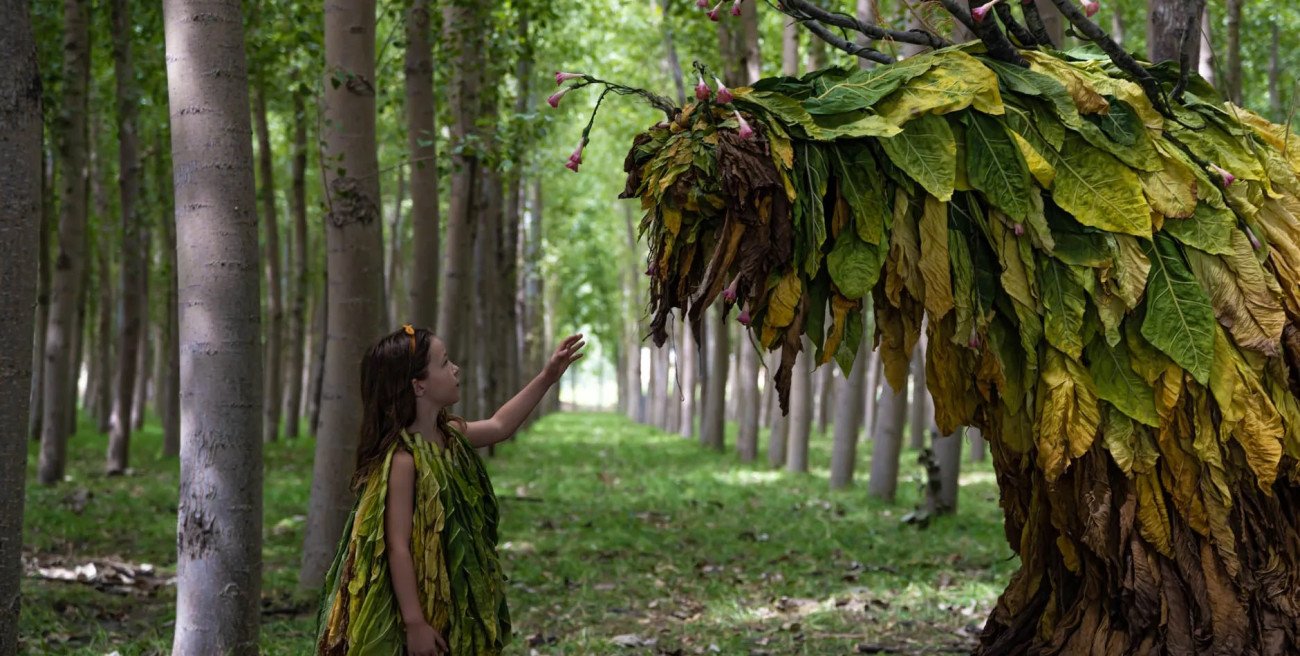 Analizamos 'Secaderos', la ópera prima de Rocío Mesa