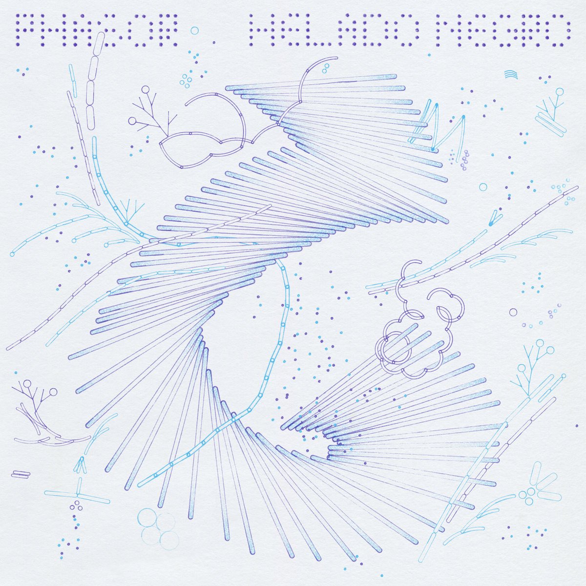 Analizamos 'Phasor', el nuevo disco de Helado Negro