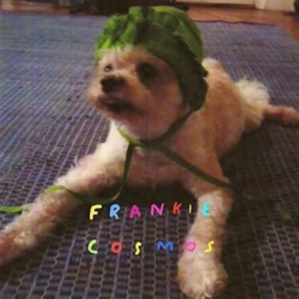 Crítica de 'Zentropy', el LP debut de Frankie Cosmos con motivo de su décimo aniversario