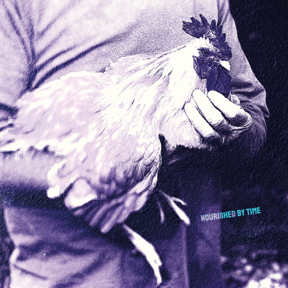 Crítica de 'Catching Chickens', el nuevo EP de Nourished By Time