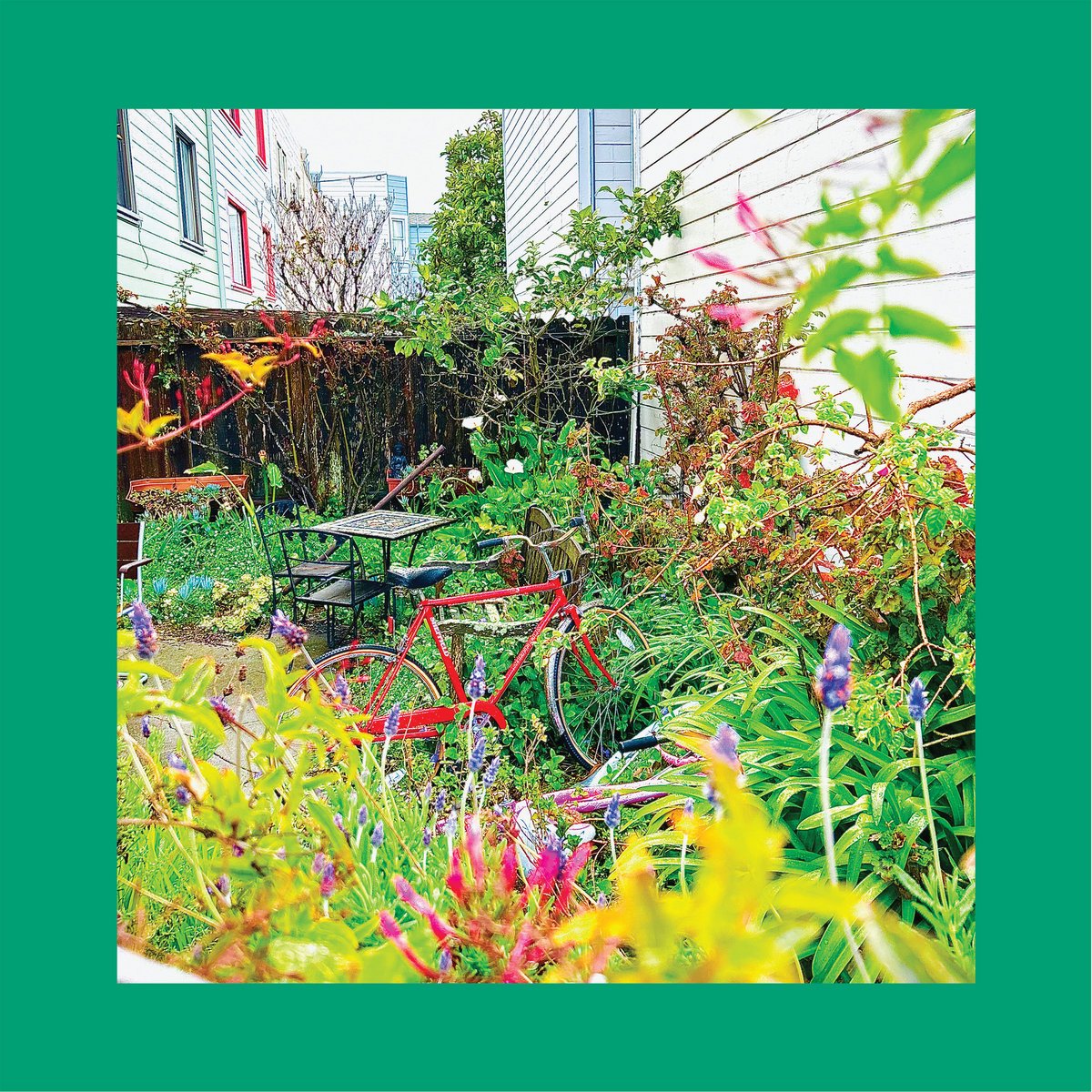 Crítica de 'Unwishing Well', el nuevo LP de The Reds, Pinks & Purples