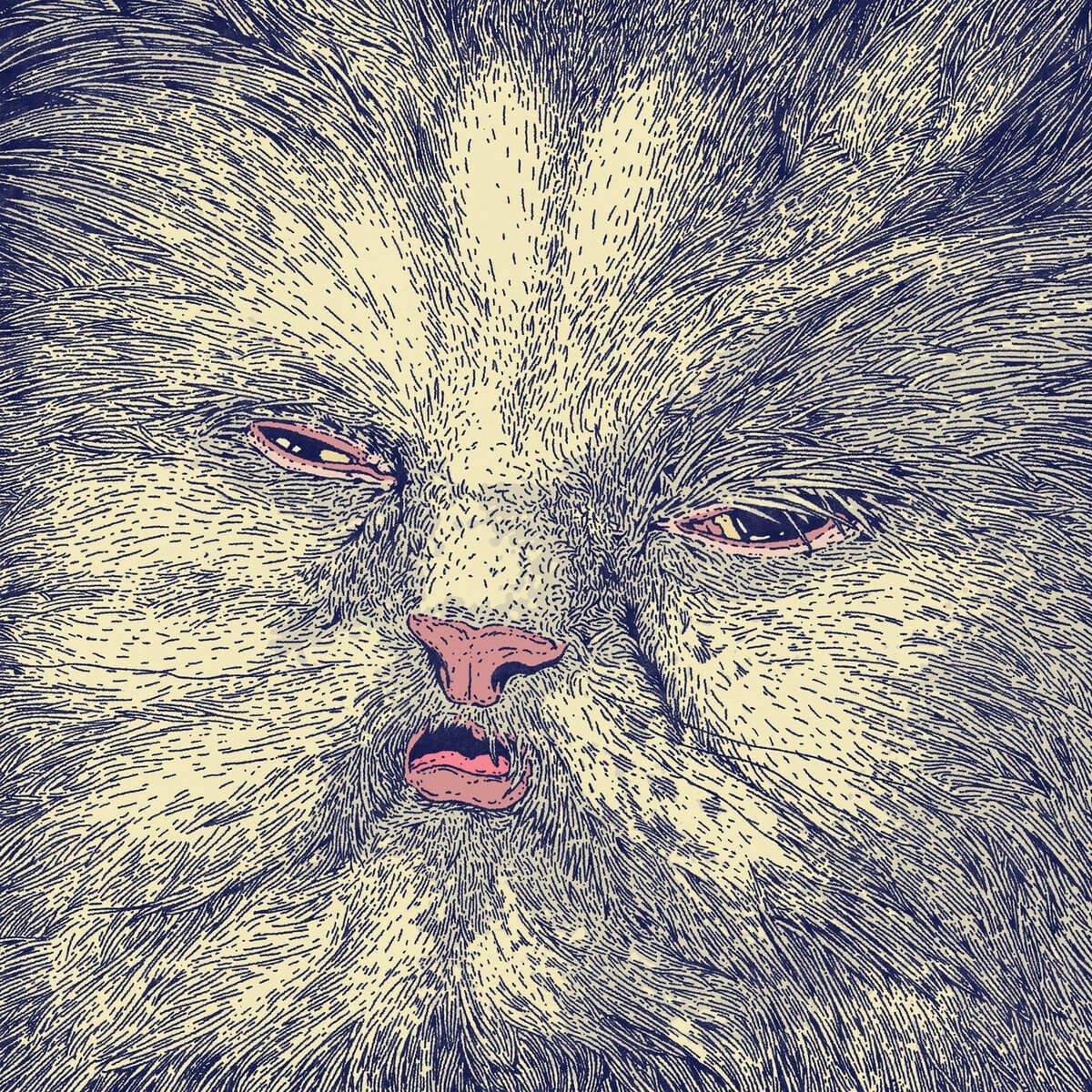 Crítica de 'Mimi', el nuevo LP de Corridor