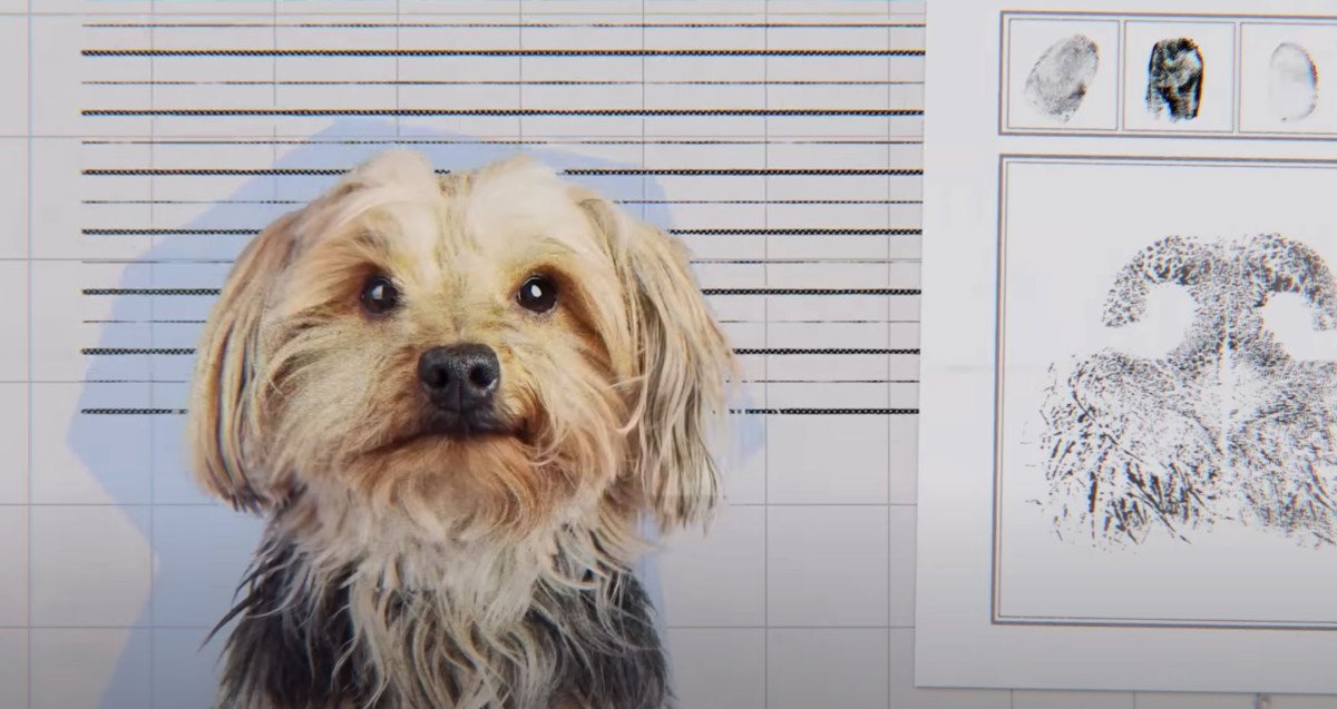 Crítica de 'En la mente de un perro', el nuevo documental de Andy Mitchell estrenado en Netflix