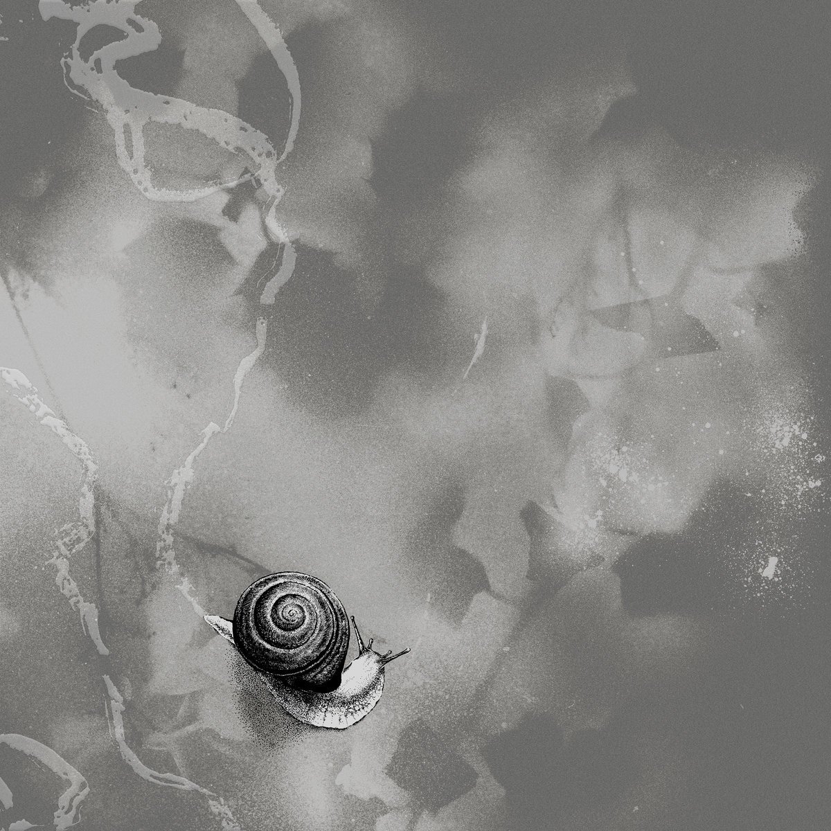 Crítica de 'Deep Below' de Rats on Rafts: canciones que laten bajo el peso del tiempo