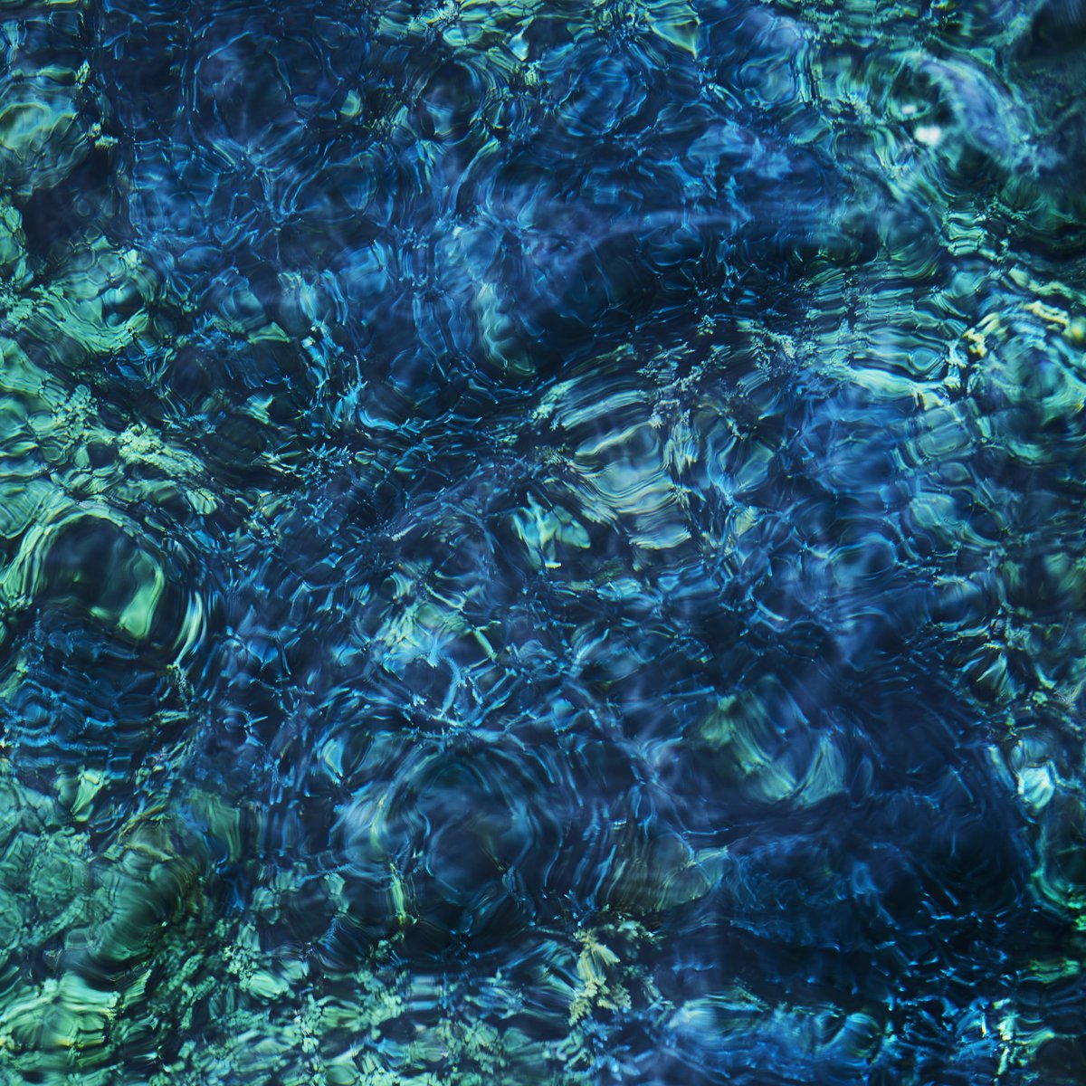 Crítica de ‘Luminescent Creatures’: La exploración de Ichiko Aoba sobre la comunicación más allá del lenguaje