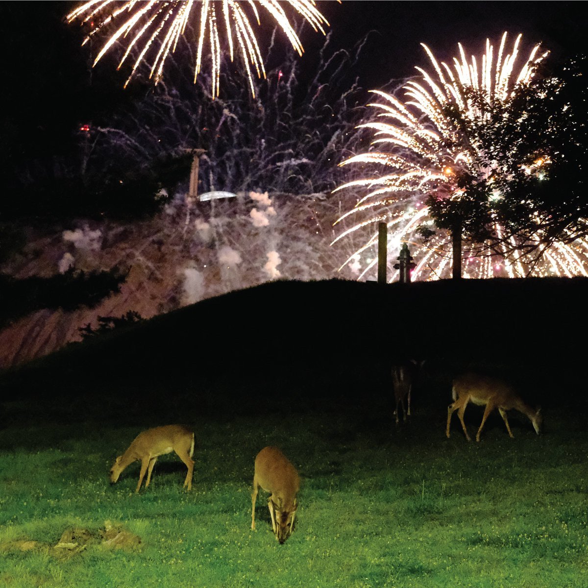 Crítica de ‘Hunting Season’: Home Is Where narran la combustión lenta de un país sin salida