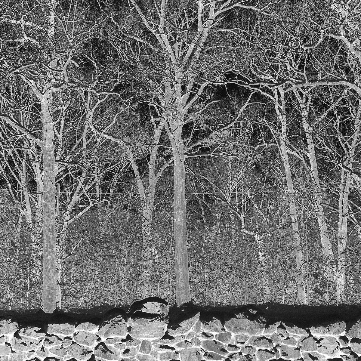 Crítica de ‘Sunshine and Balance Beams’: Pile descargan rabia y esperanza en su noveno disco