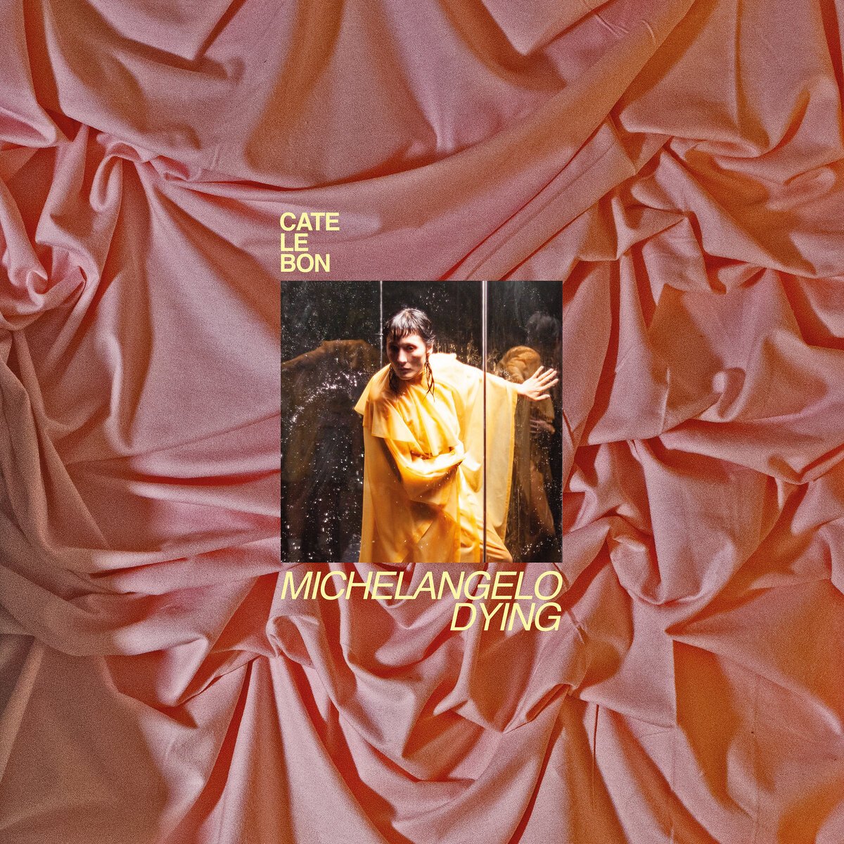 Cate Le Bon: crítica de 'Michelangelo Dying'