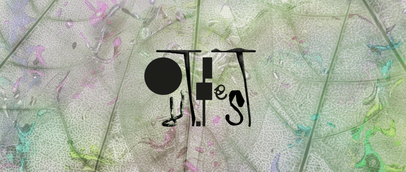 Los 10 conciertos del OUT.FEST 2025 que no deberías perderte