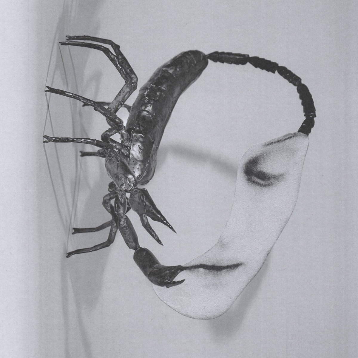 Tortoise: 'Touch', crítica de su nuevo disco