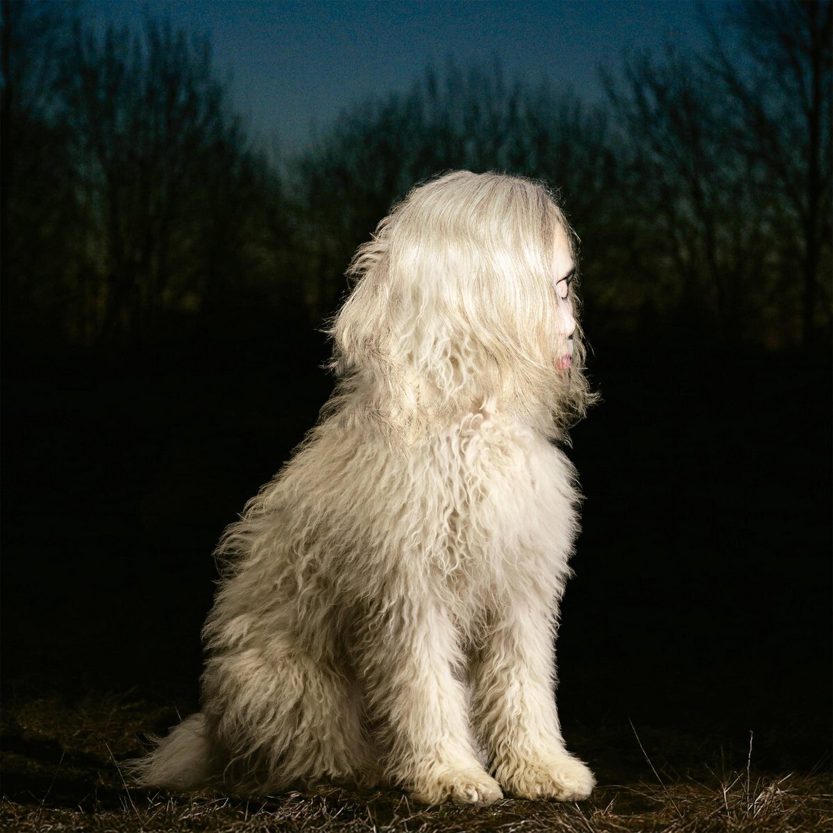Juana Molina: 'Doga', crítica de su nuevo LP