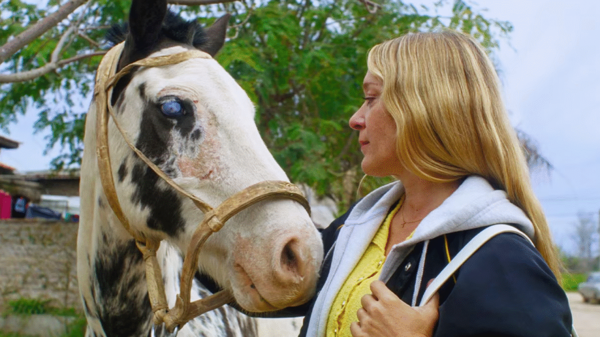 'Magic Farm': crítica de la película de Amalia Ulman proyectada en Rizoma 2025