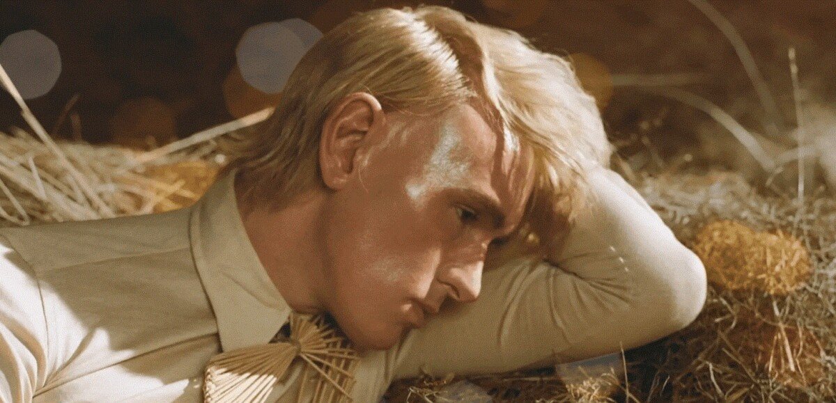 La cosecha del renacer de Patrick Wolf