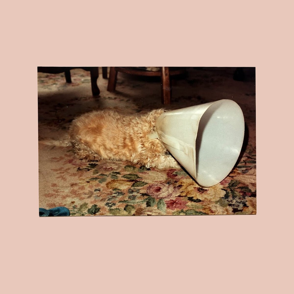 Langkamer: crítica de 'No', su nuevo disco