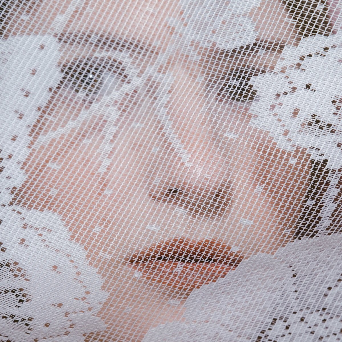 PONY: 'Clearly Cursed', crítica de su nuevo disco