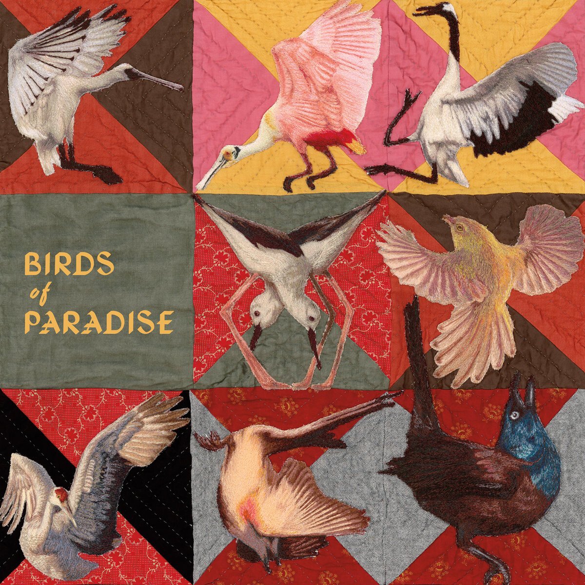 Thomas Dollbaum: 'Birds of Paradise', crítica de su nuevo disco