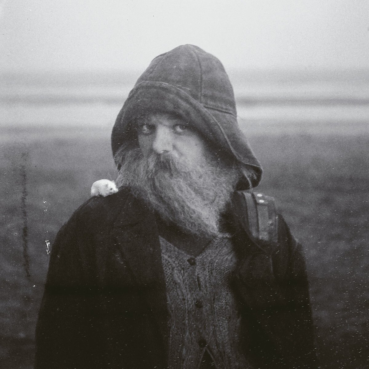 mary in the junkyard: 'Role Model Hermit', crítica de su LP debut