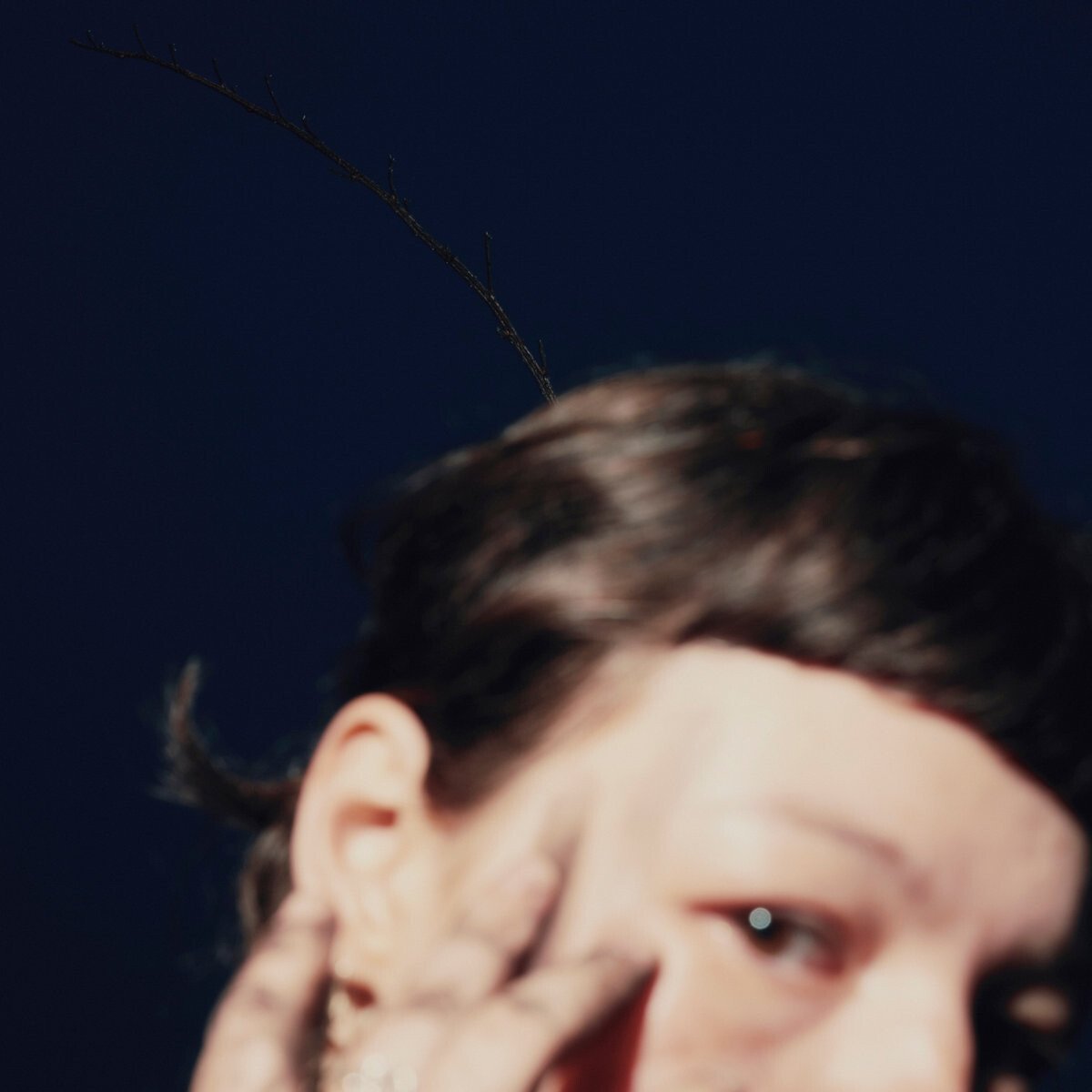 Regina Collage: 'Horizont', crítica de su nuevo disco