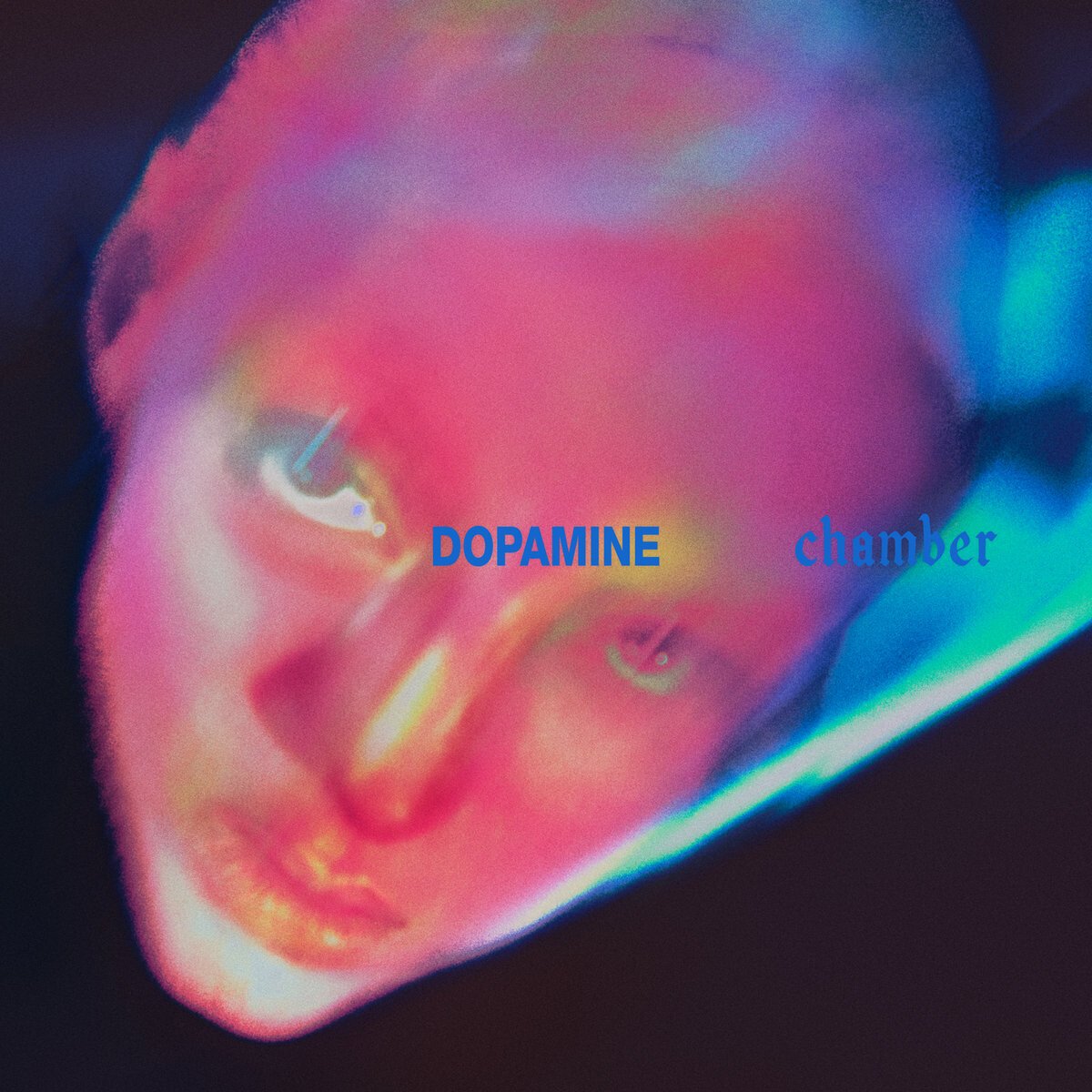 Fontaines D.C.: 'Dopamine Chamber', crítica de su nuevo disco